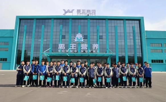 图片13